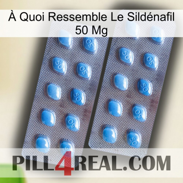 À Quoi Ressemble Le Sildénafil 50 Mg viagra4